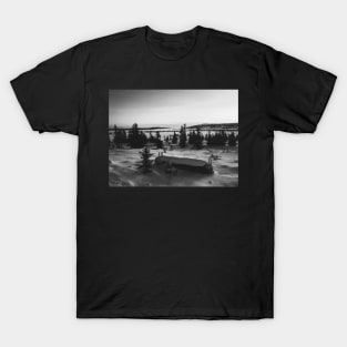 Black and White Shot of Foggy Fir Tree Backcountry in Norway T-Shirt